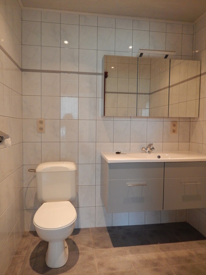 Instapklare landelijk gelegen alleenstaande woning 