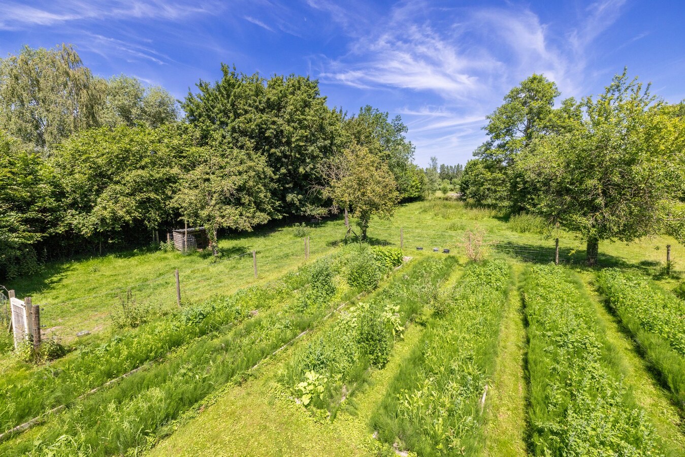 Landelijk gelegen charmewoning op 2910 m² - 4 slpks 