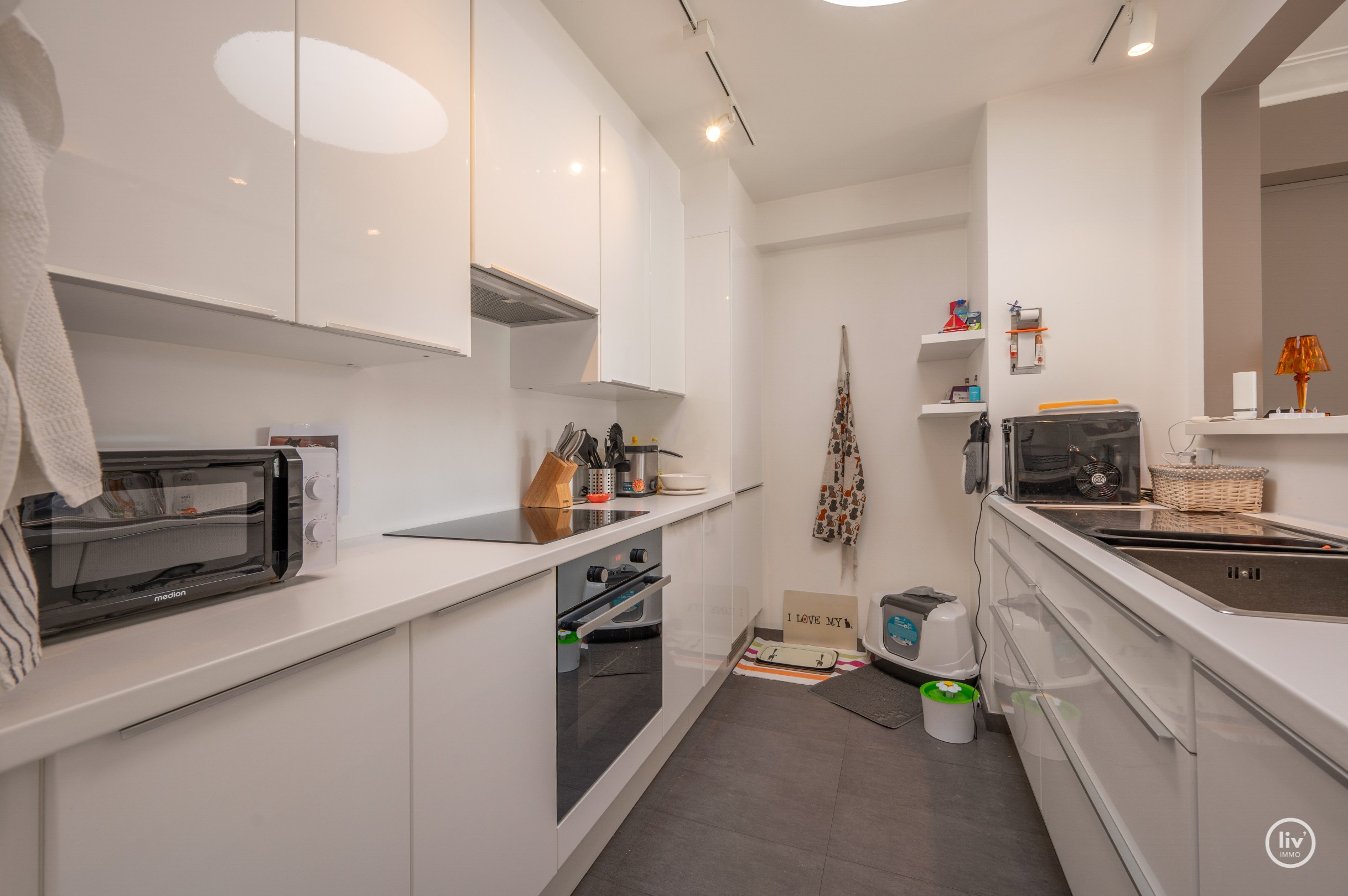 Lichtrijk dakappartement op wandelafstand van de zeedijk-Albertstrand met mogelijkheid tot aankoop van een inpandige garagebox (gelijkvloers). 