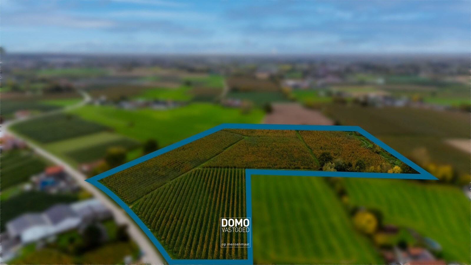 AGRARISCH GELEGEN PERCELEN BESTEMD ALS WEILAND EN BOOMGAARD TE KOOP IN HERK-DE-STAD 