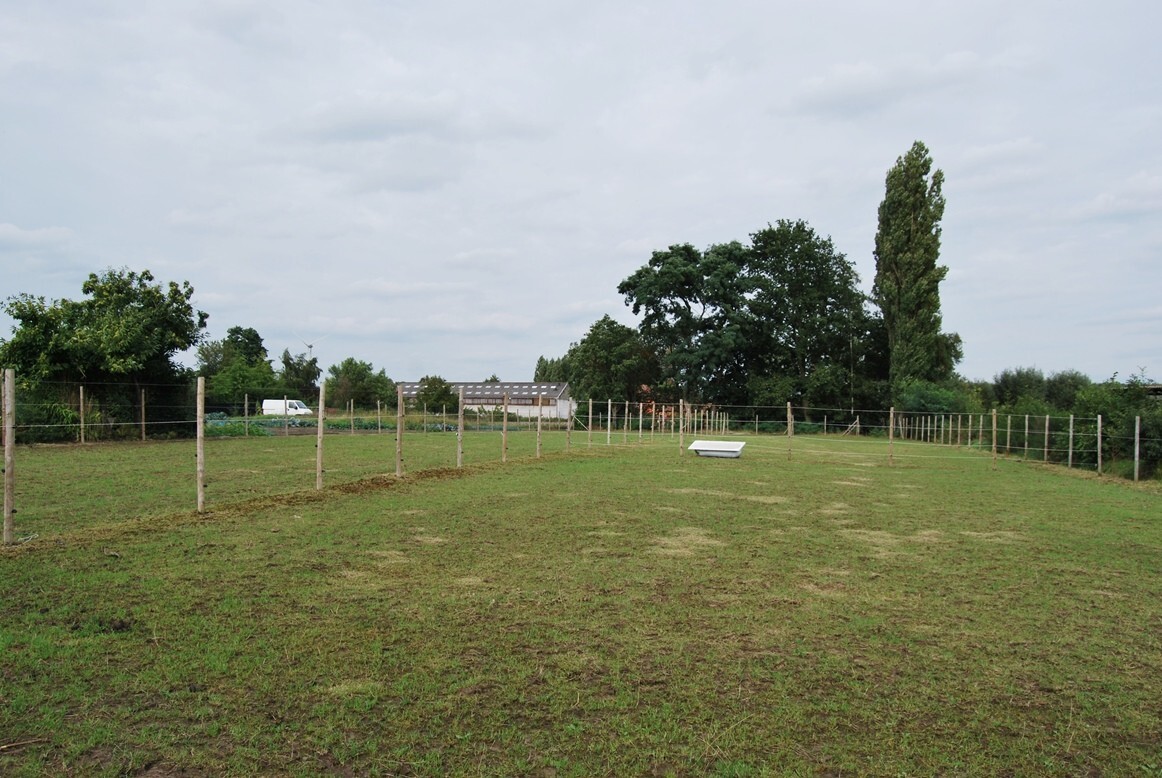 Instapklare woning met 2 stallen op ca.4000m² te Lebbeke 