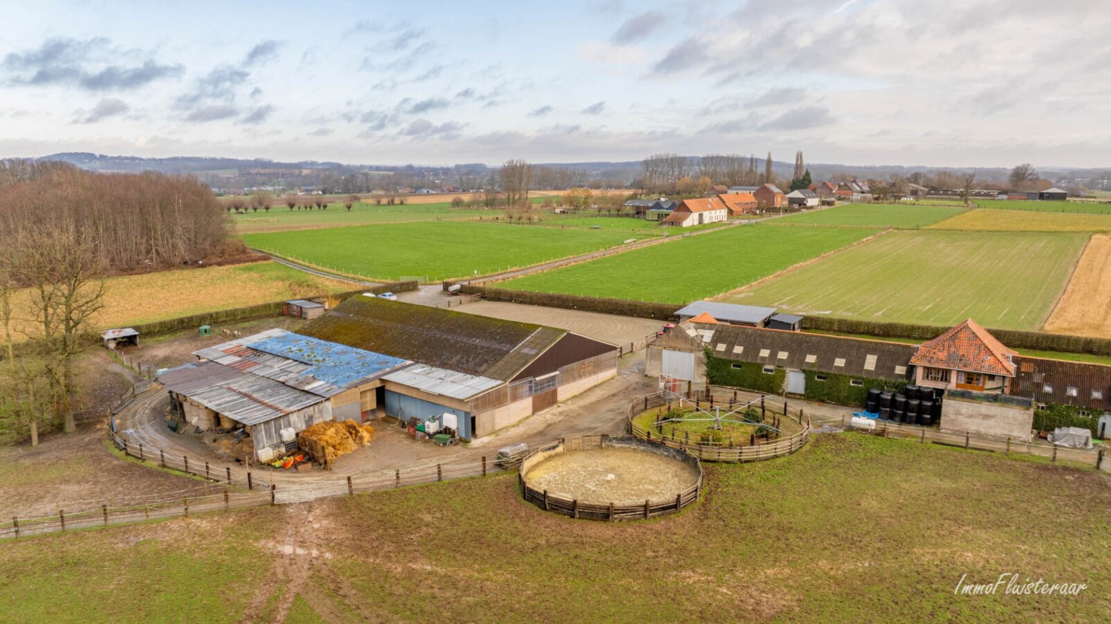 Magnifique complexe équestre avec maison d'entreprise, environ 33 écuries et une piste intérieure sur plus de 5,6 hectares à Bever (Brabant flamand). 