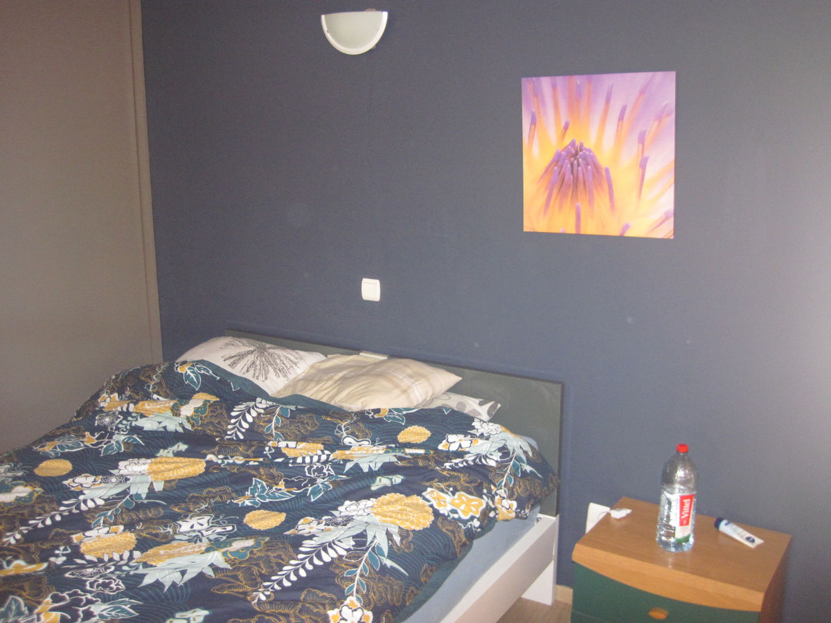 Aangenaam 1-slp-appartement nabij Station (in t groen met terras). 