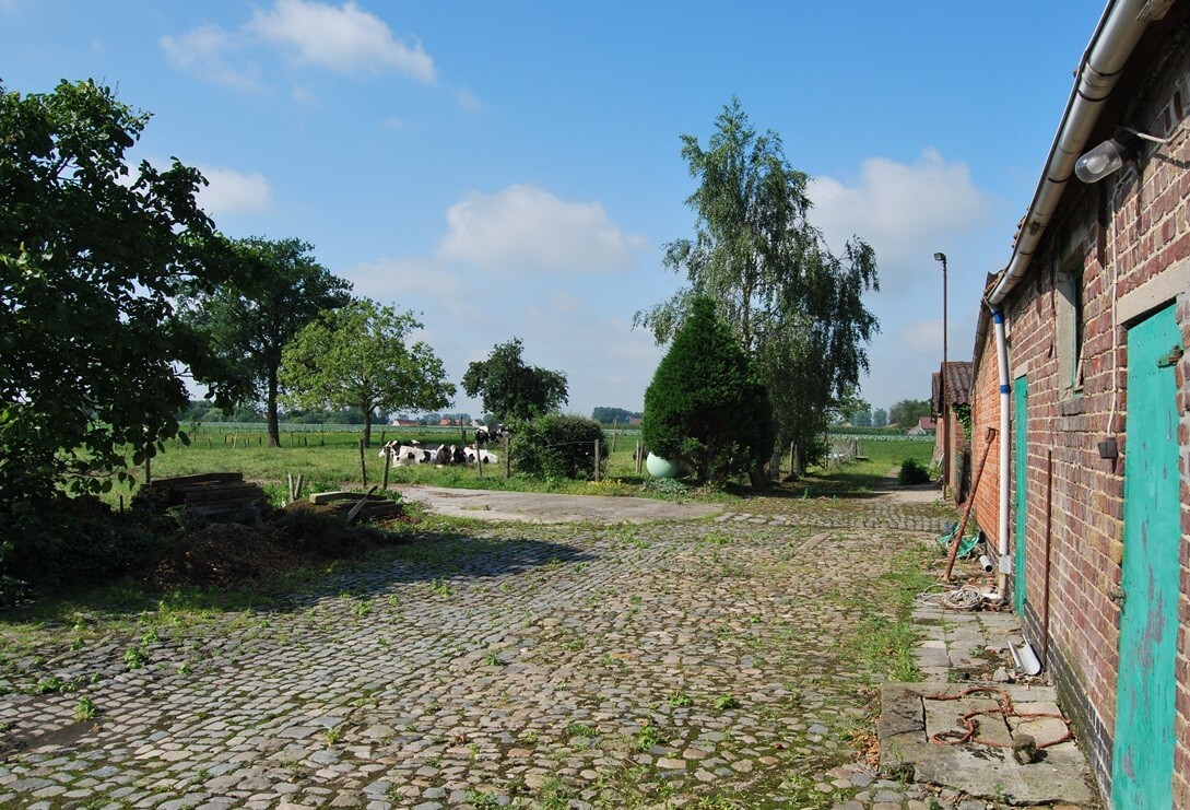 Te renoveren hoeve met stallingen op 9.333m² (+ev. 5ha) te Deinze 