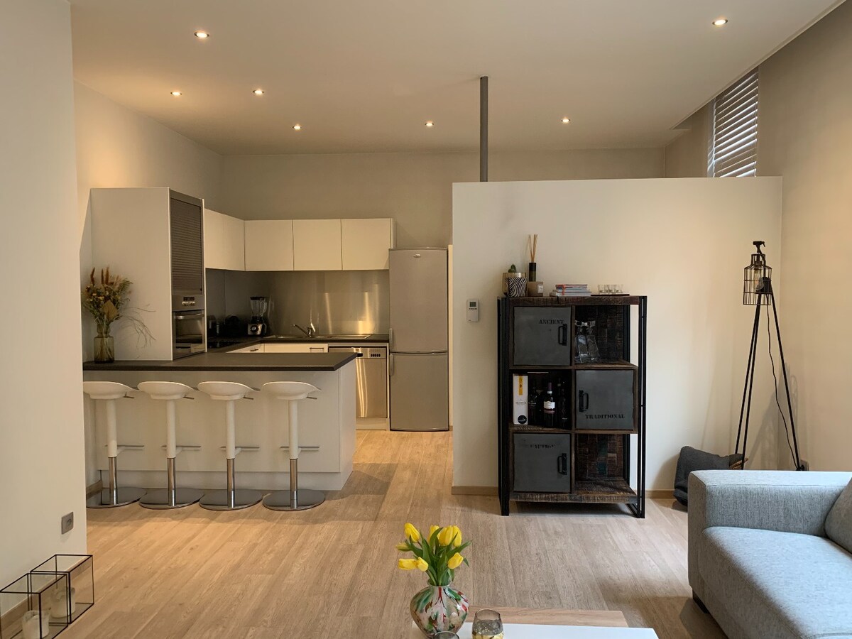 Hedendaags, gelijkvloers appartement in het centrum van Maaseik! 