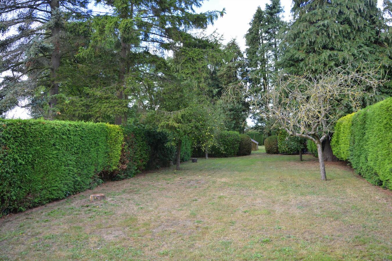 Rustig gelegen woning met prachtige tuin 