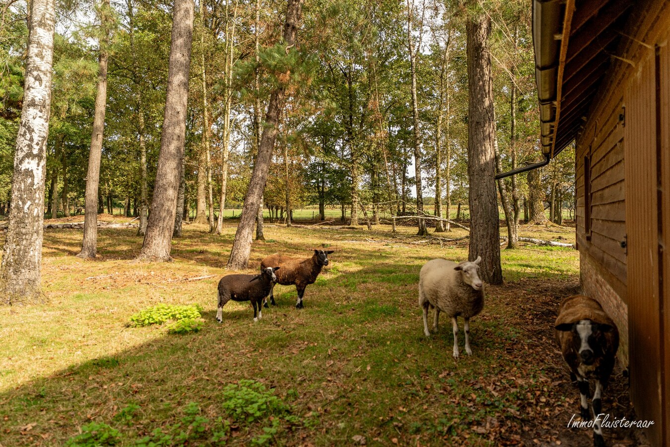 Unieke woning op ca. 6.054 m2 te Turnhout 