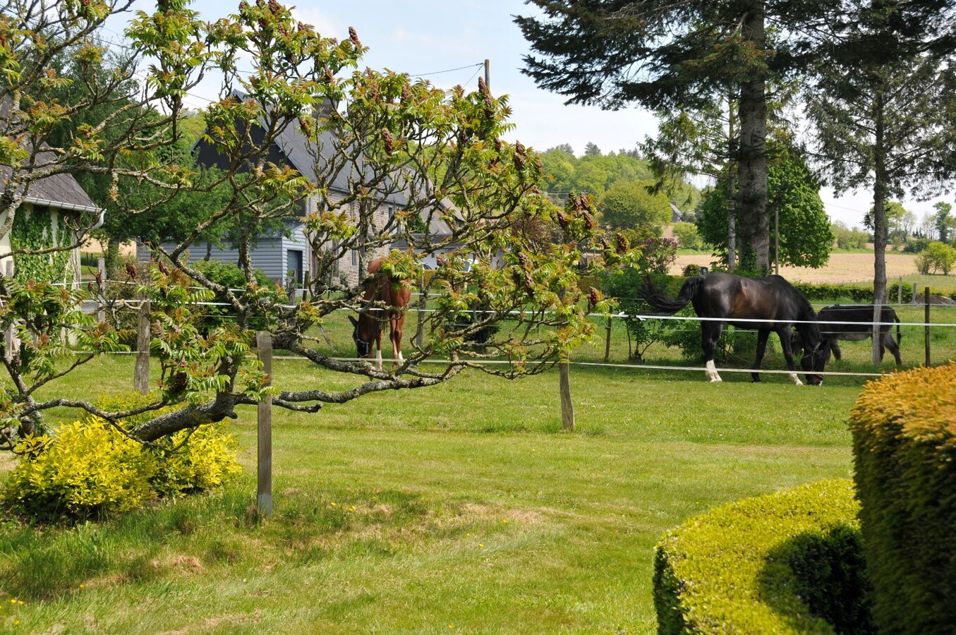 Prachtige, volledig gerenoveerde villa/paardenlandgoed op ca. 2,8 ha in Calvados, Normandië, Frankrijk 