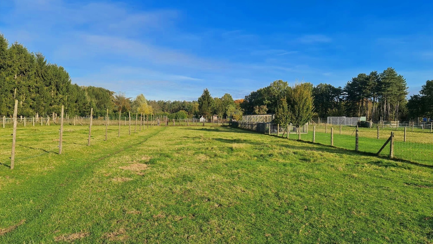 Betaalbare woning op riant perceel van 2330m² 