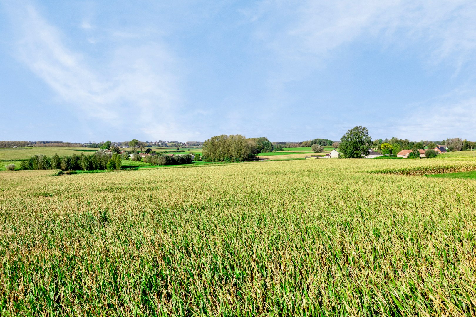 Bouwgrond (HOB) op 4a 97ca met uniek vergezicht op agrarisch landschap 