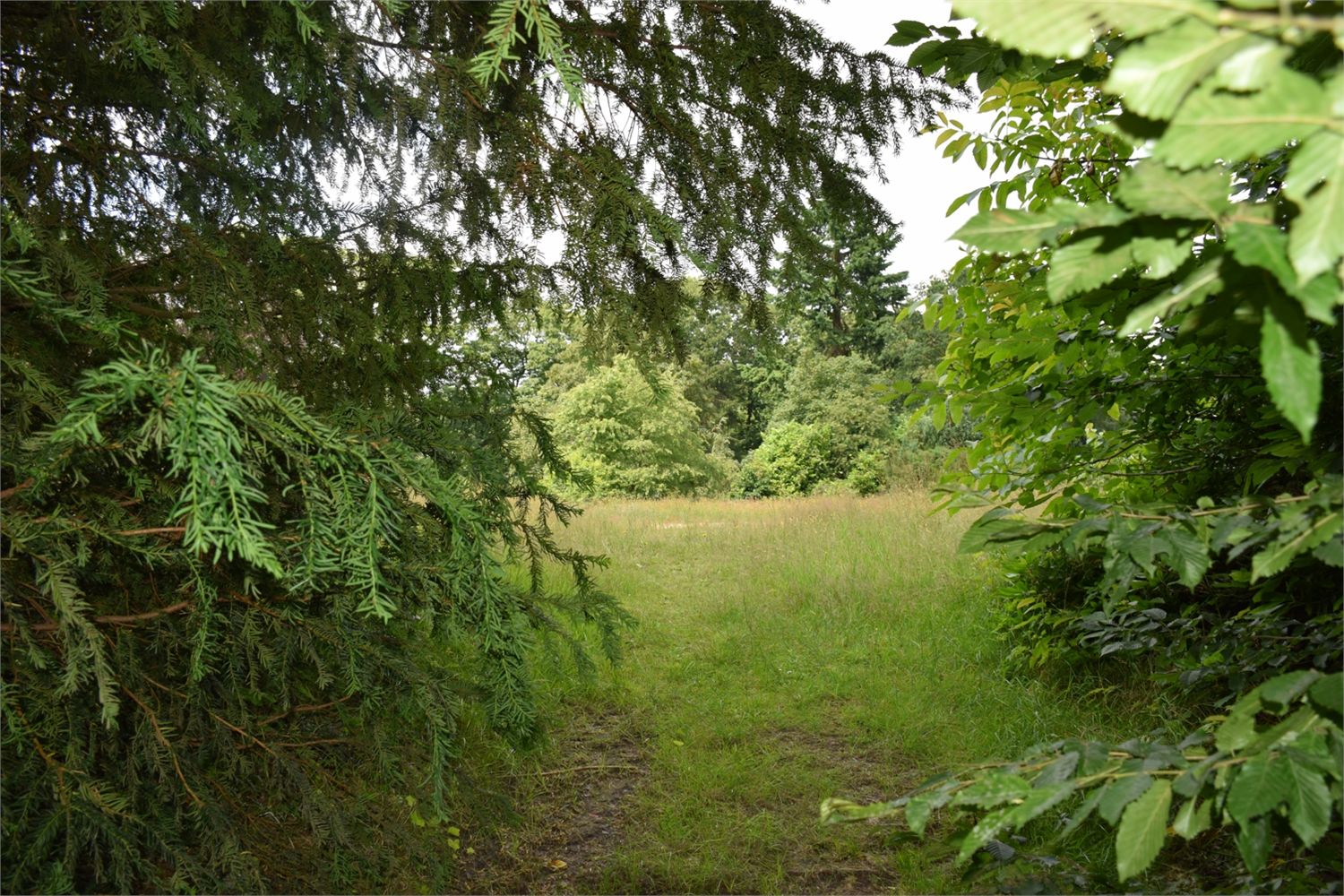 Grond verkocht in Deurle