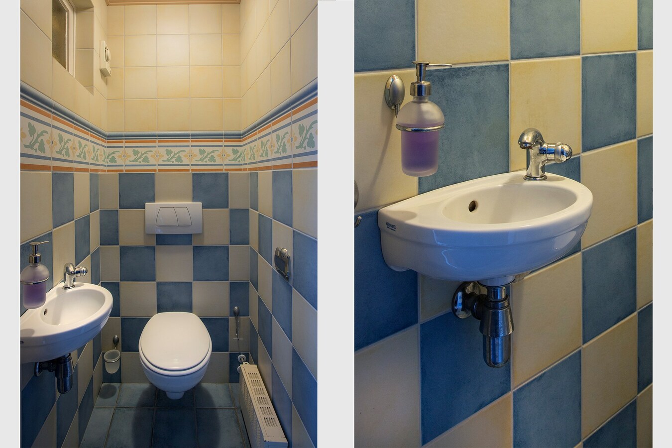 Ruime gezinswoning met royale garage en prachtige tuin 