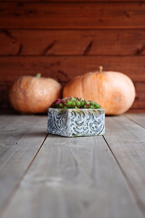 VERKOCHT IN 1 WEEK ! 