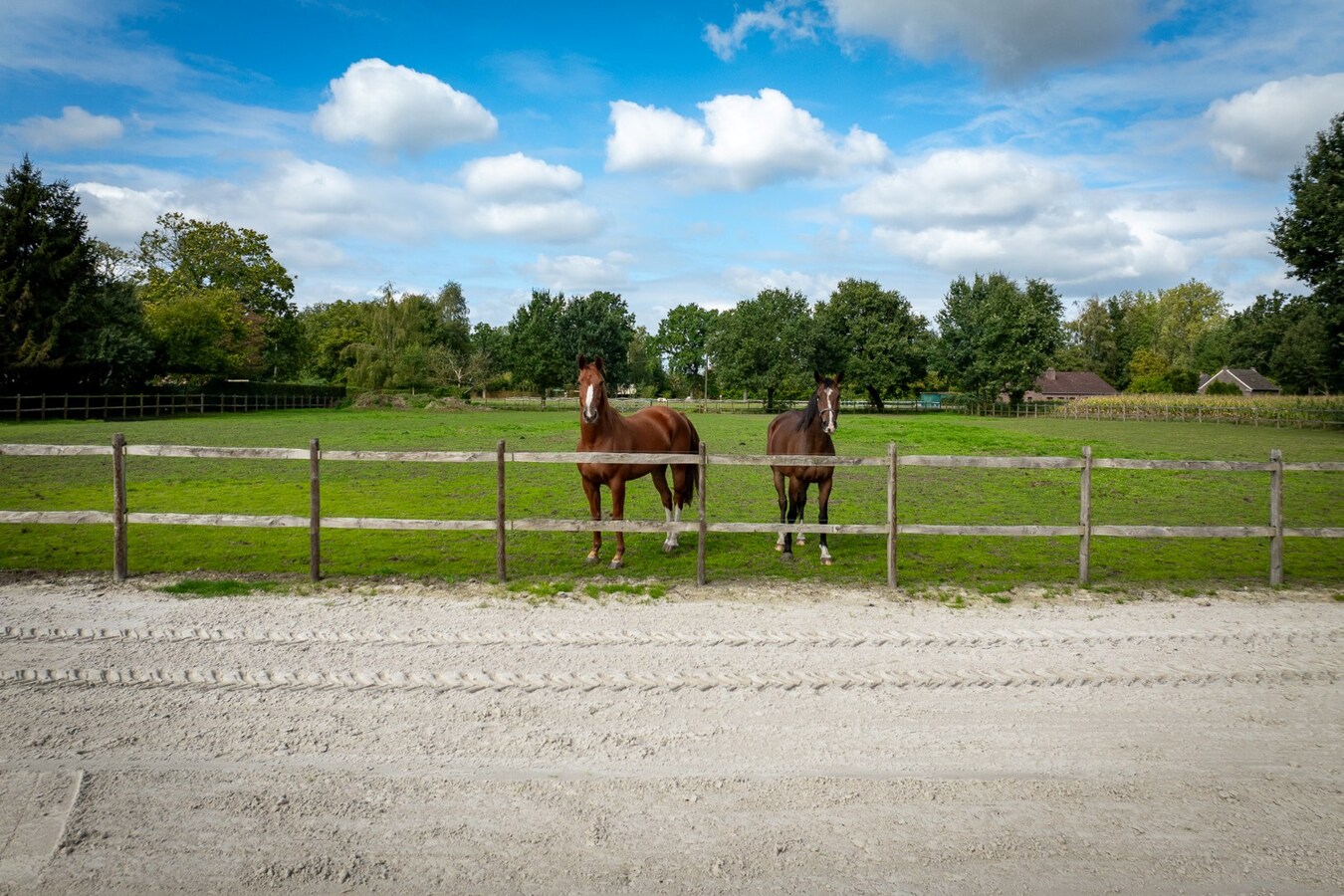 Landelijk gelegen woning met buitenpiste en weide op ca. 1ha te Bocholt 