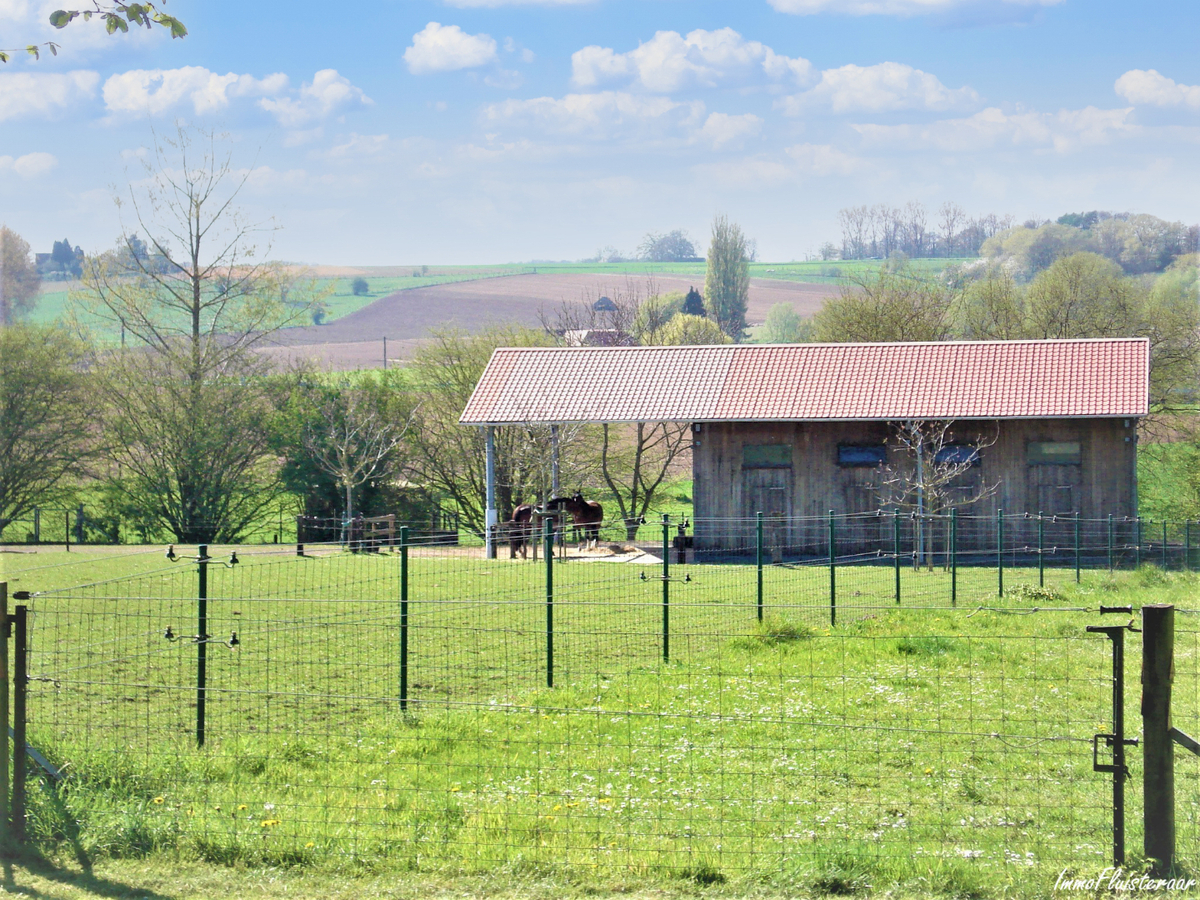 Magnifique propriété avec grande habitation, écuries, salle polyvalente, terrain à bâtir et prairies sur environ 1,67ha à Ellezelles (Hainaut) 