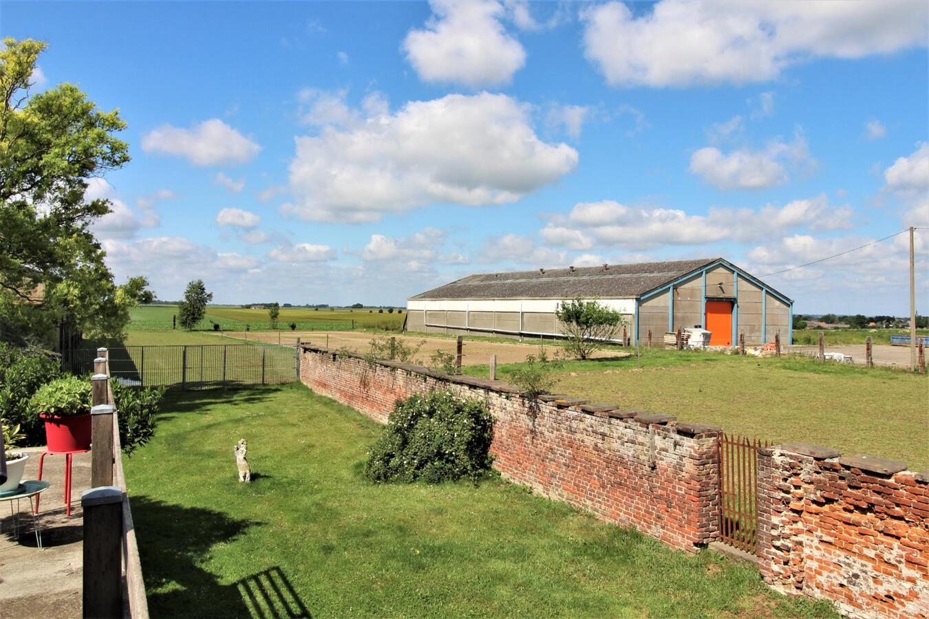 Maison avec centre équestre et appartement supplémentaire sur environ 1.3ha à Hannut (Liège) 