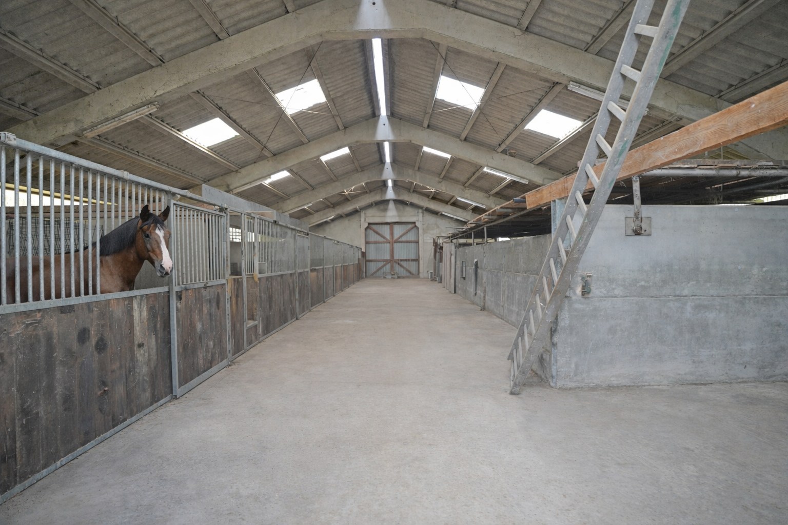 KIJKDAG ZATERDAG 21/03 VAN 10U TOT 12U! 