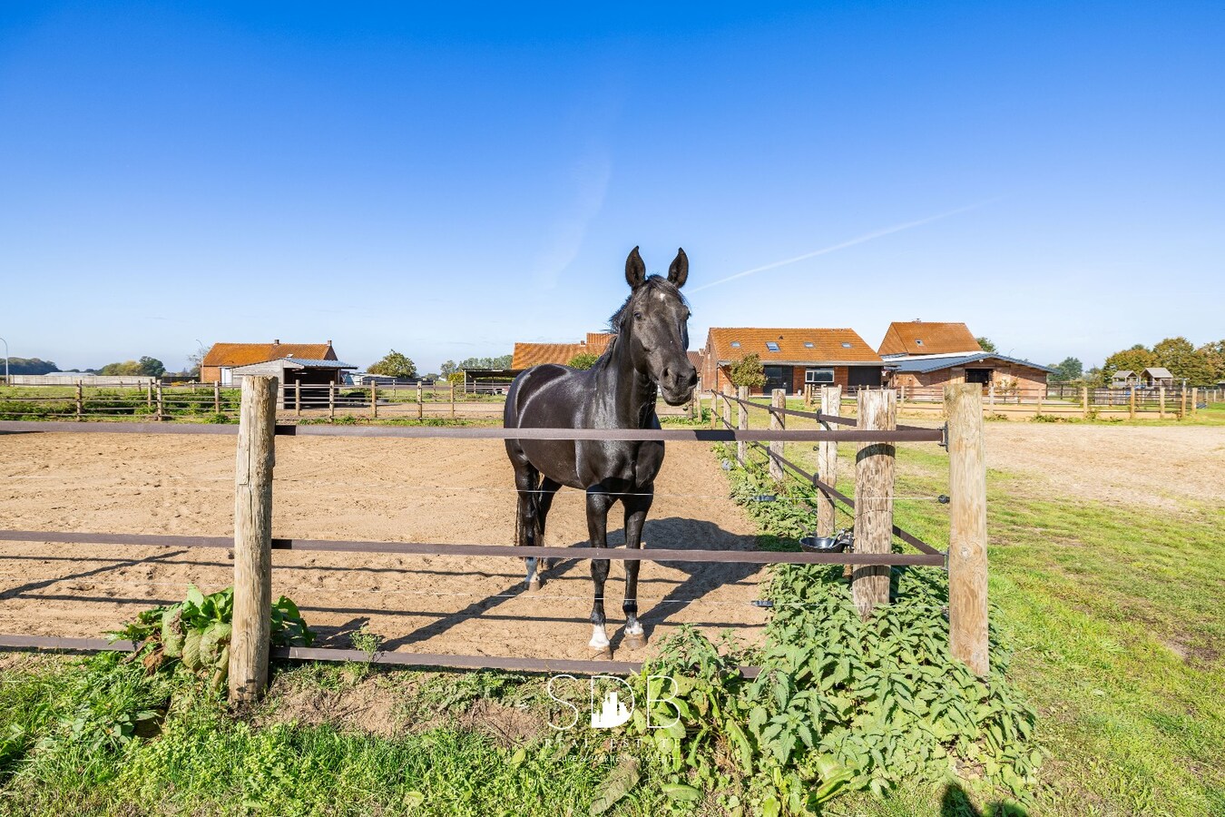 Hedendaagse woning met hippische accommodatie op 17.782m² 