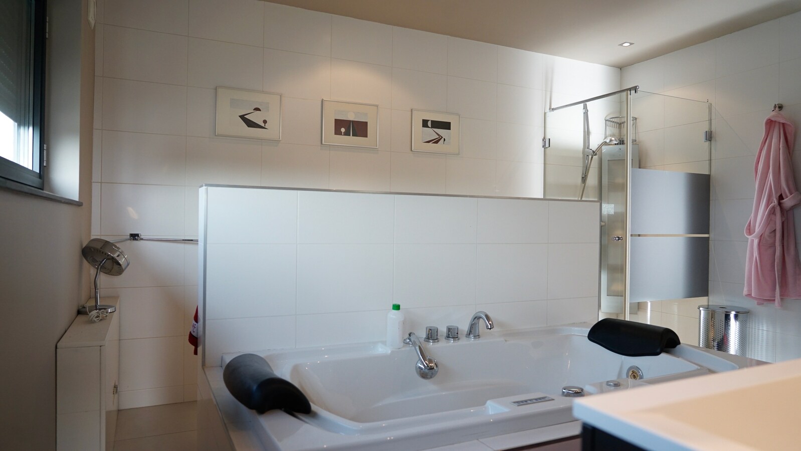 Dorne : moderne woning met parktijkruimte / bureel, volwaardige kelderverdieping, terras, zwemvijver en weide. Prachtig uitzicht. 