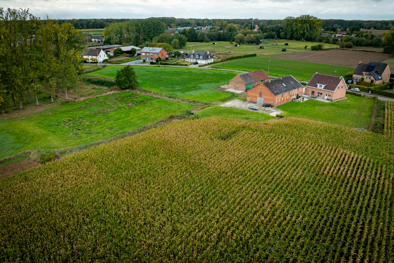 Landelijk gelegen eigendom met uitzonderlijk ruime bijgebouwen op een perceel van ca. 2,02 ha in Puurs-Sint-Amands BEZOEKDAG OP 14 NOVEMBER VAN 10U TOT 14U OP AFSPRAAK 