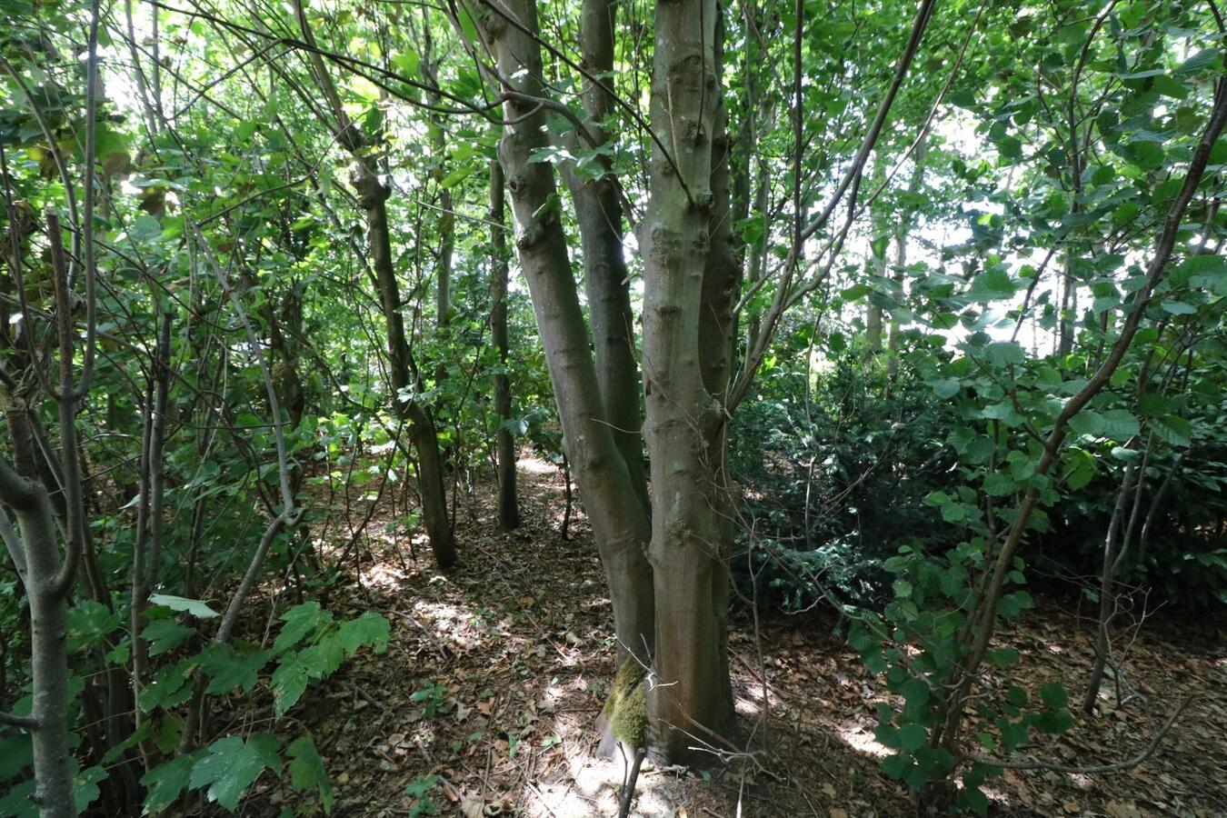 Woning met mogelijkheid tot commmerciële ruimte op 1398m² te Aartrijke 