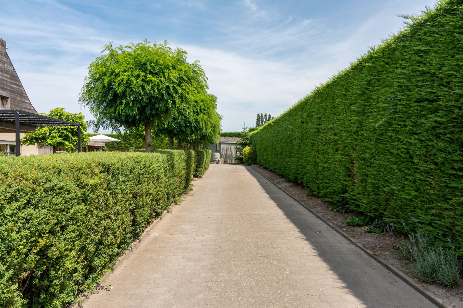 Rustig gelegen, alleenstaande woning met mooie tuin op 1.195 m² 