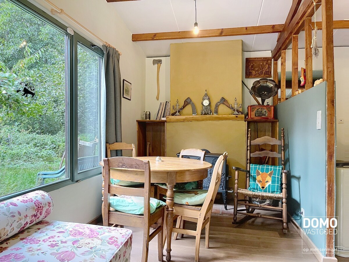 UNIEK DOMEIN MET OFF-GRID VAKANTIEWONING, SCHUUR EN 2 VIJVERS OP 1 HA 41 A 