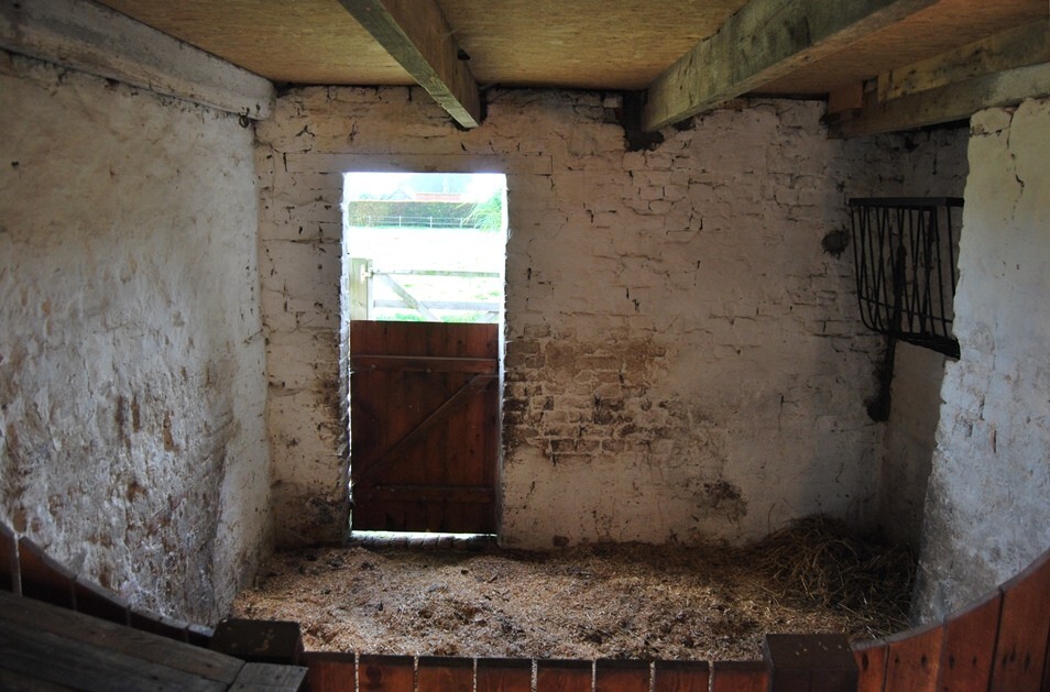 Idyllische woning met stalgebouwen op ca. 5000m² te Sint-Laureins 