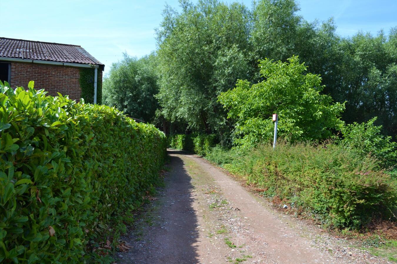 Te renoveren hoeve te Schelle op ca. 1.300M² 