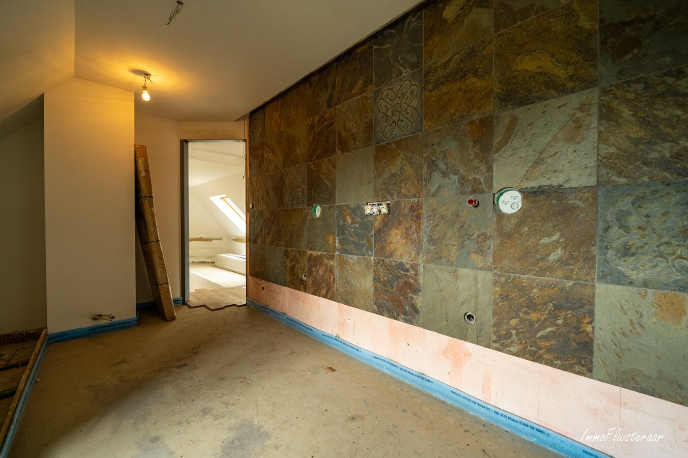 Hoogwaardige ruwbouwvilla met bijgebouw en weide 
