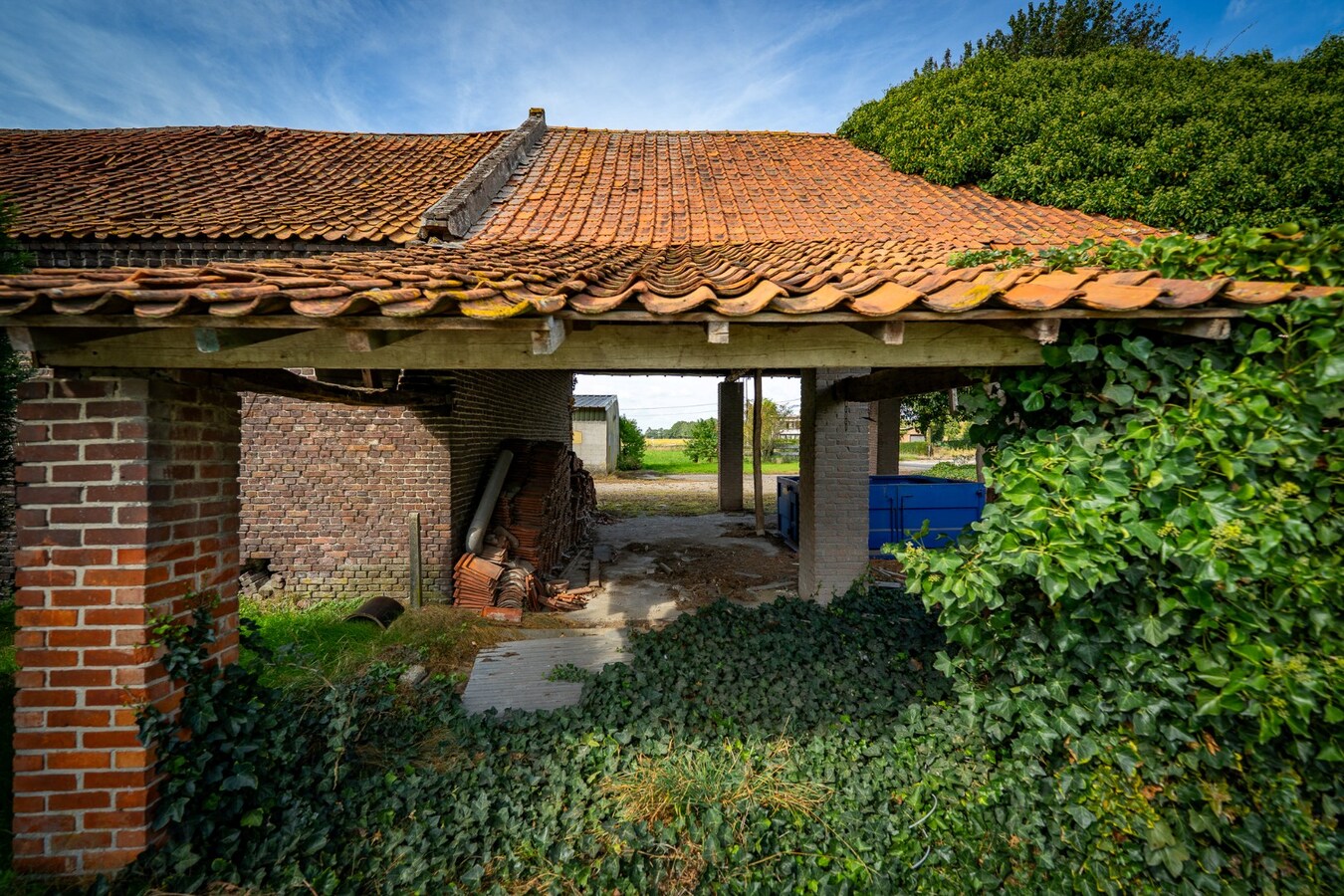 Hoeve met stalgebouwen op ca. 1ha te Bree 