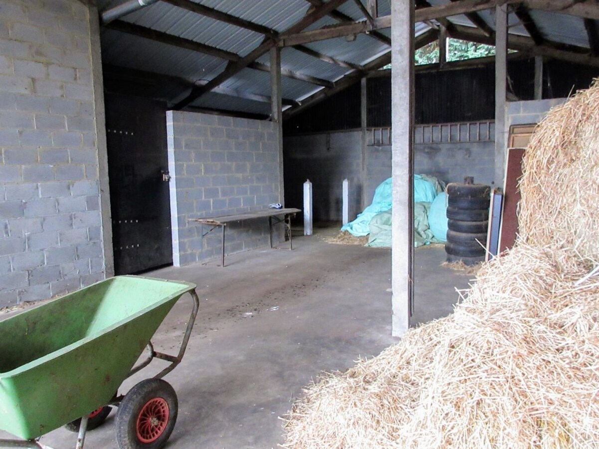 Paardenaccommodatie met 46 stallen, buitenpiste en hangaar op ca. 55 are te Linkhout (Lummen) 