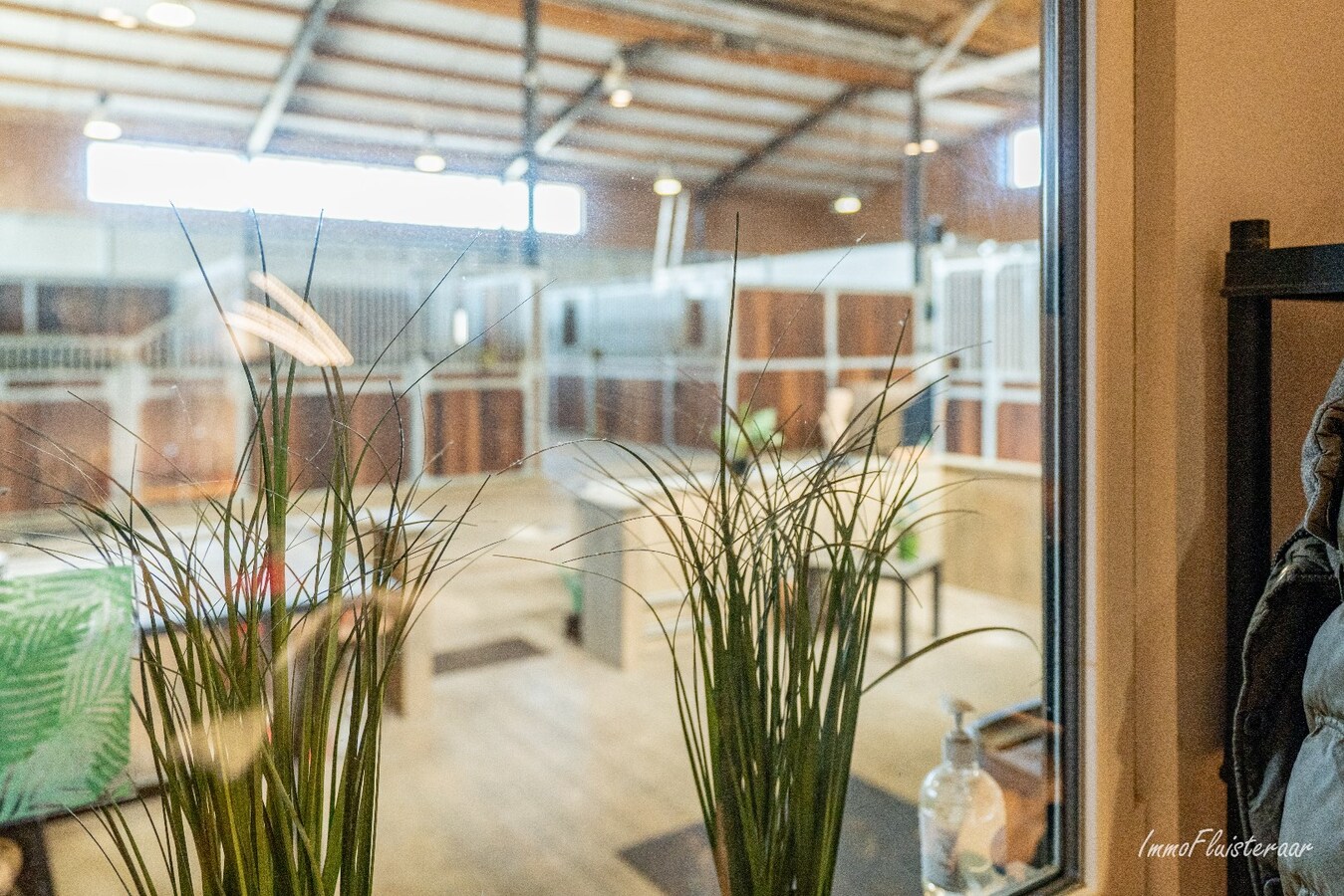 Complete paardenaccommodatie met studio op ca. 1,1ha te Bree 