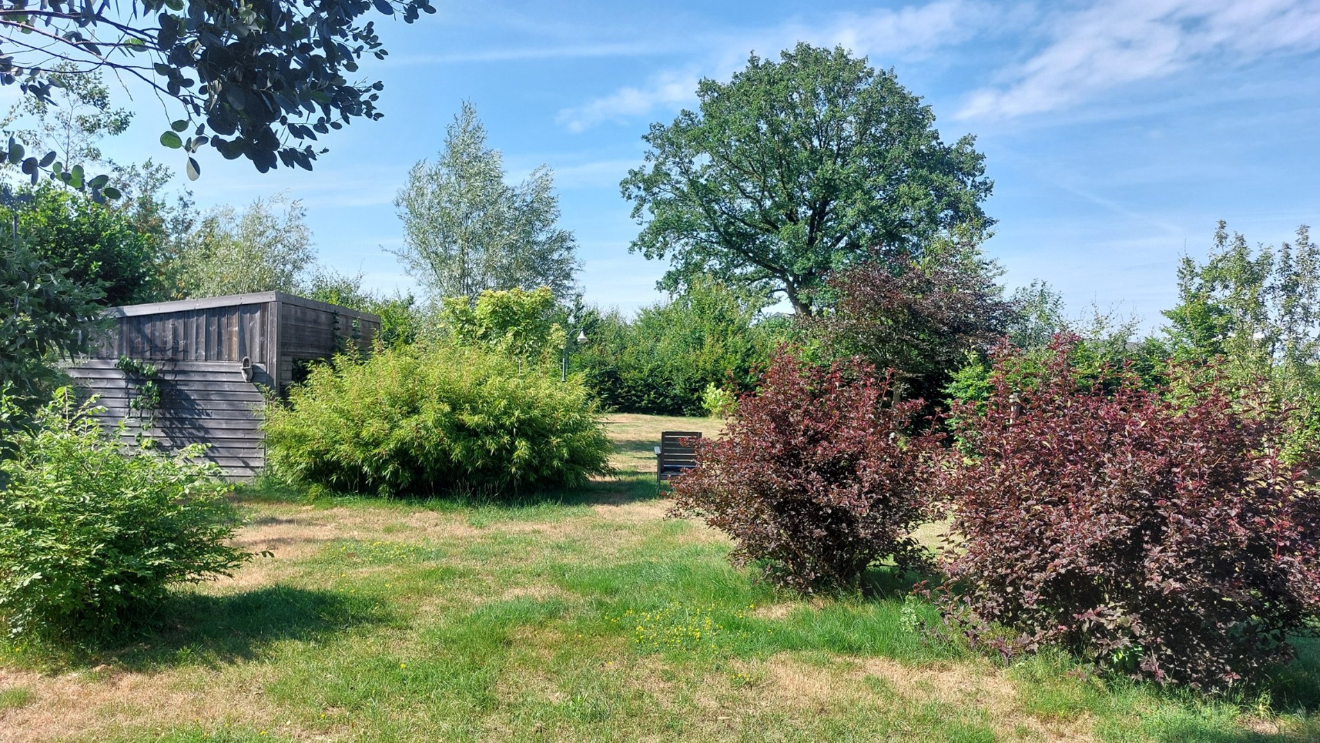 Bos te koop in Weert