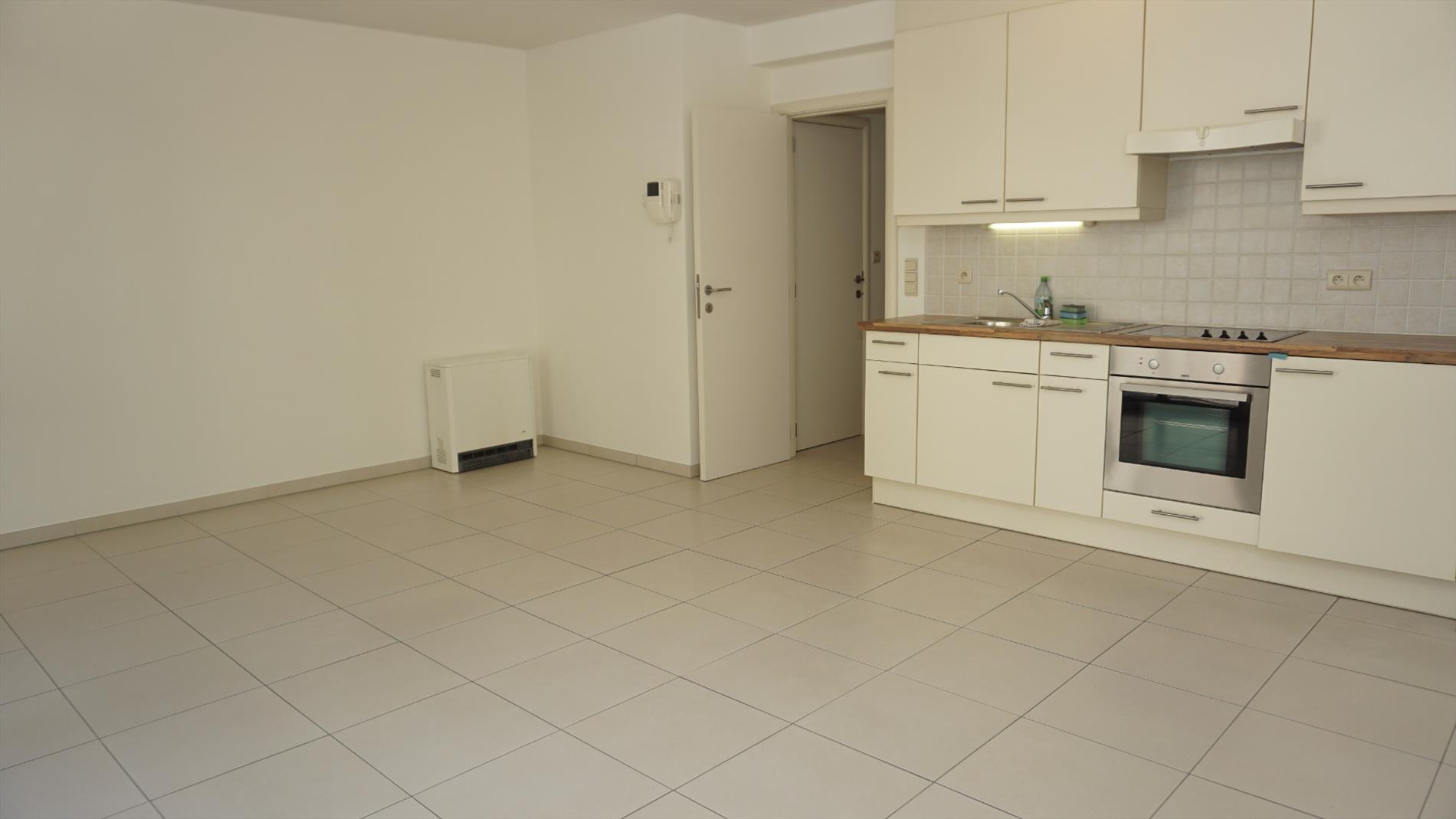 APPARTEMENT MET 1 SLAAPKAMER BIJ PETIT-PARIS 