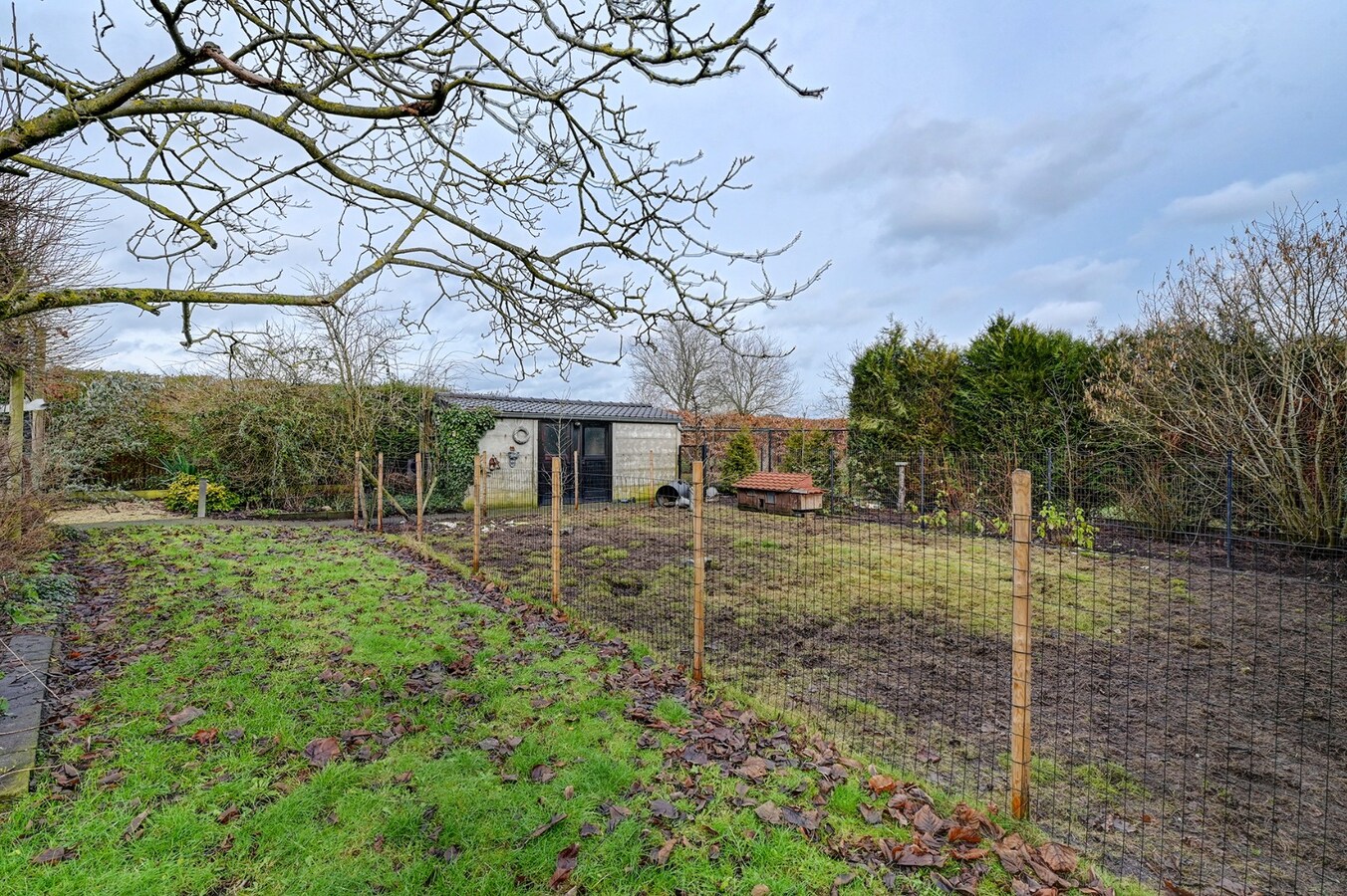 Charmant, milieuvriendelijk huis 