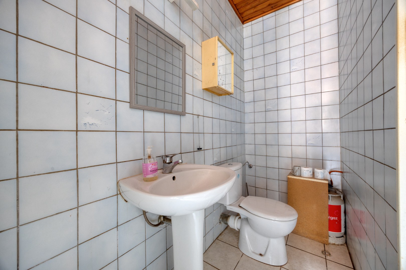 Badkamer lavabo + toilet