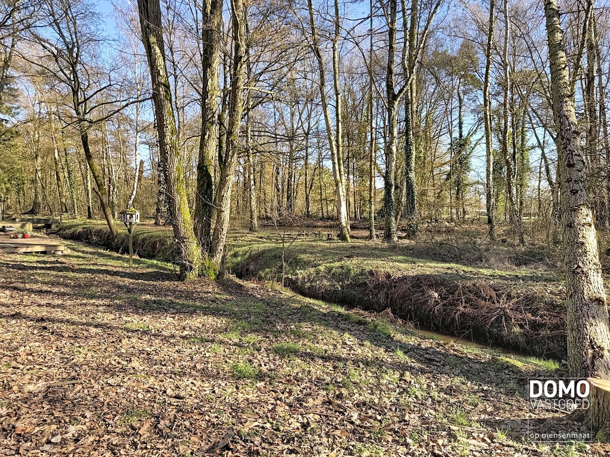 Exclusief wonen midden in de natuur – rust, ruimte. 