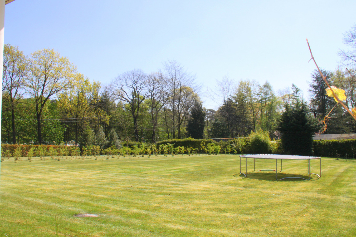 Unieke gemeubelde villa in het bos van Hertsberge 