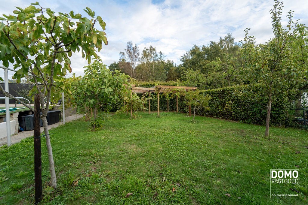 Gunstig gelegen handelshuis te Spalbeek (Hasselt) 