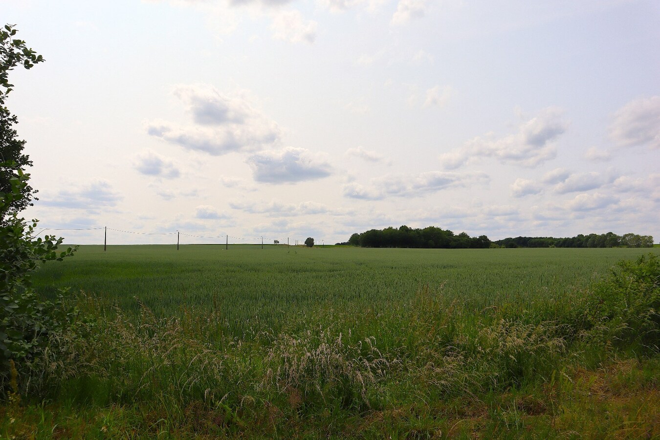Prachtig perceel voor OPEN BEBOUWING te Kumtich 