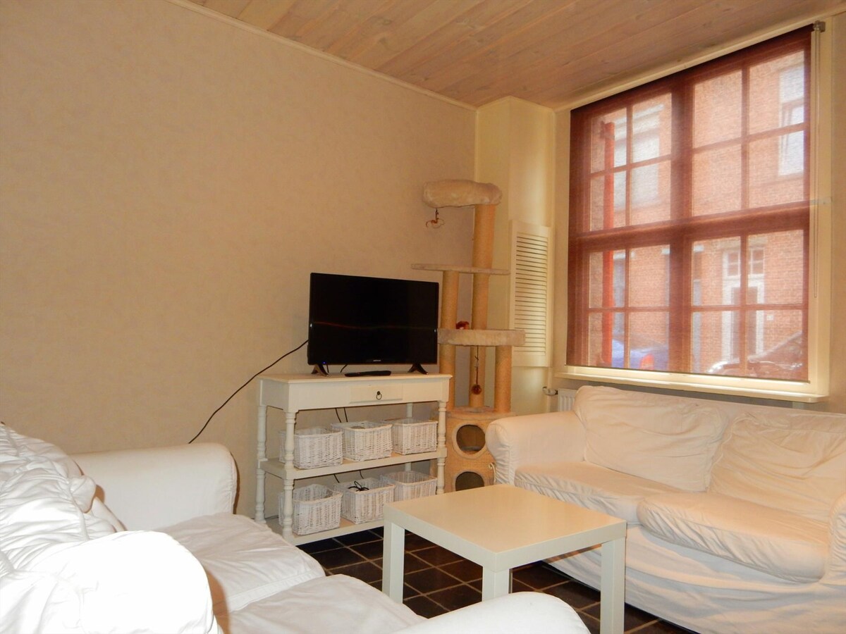 Charmante stadswoning te Brugge 