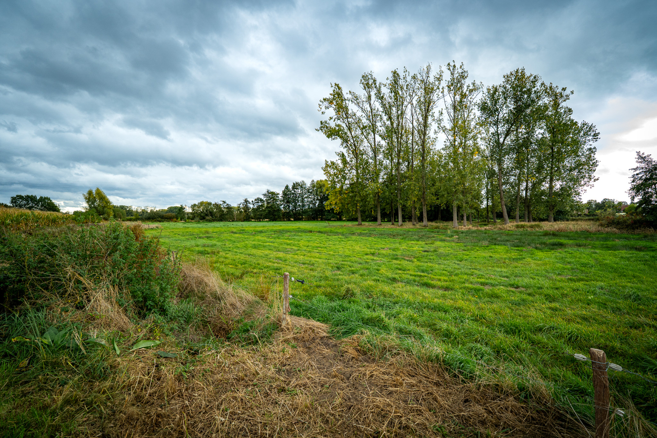 Landelijk gelegen eigendom met uitzonderlijk ruime bijgebouwen op een perceel van ca. 2,02 ha in Puurs-Sint-Amands BEZOEKDAG OP 14 NOVEMBER VAN 10U TOT 14U OP AFSPRAAK 