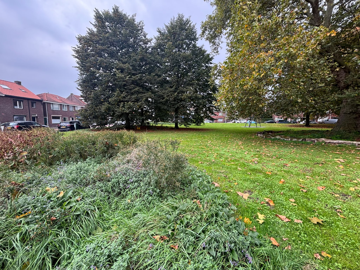 Transvaalplein 35A – Tilburg 