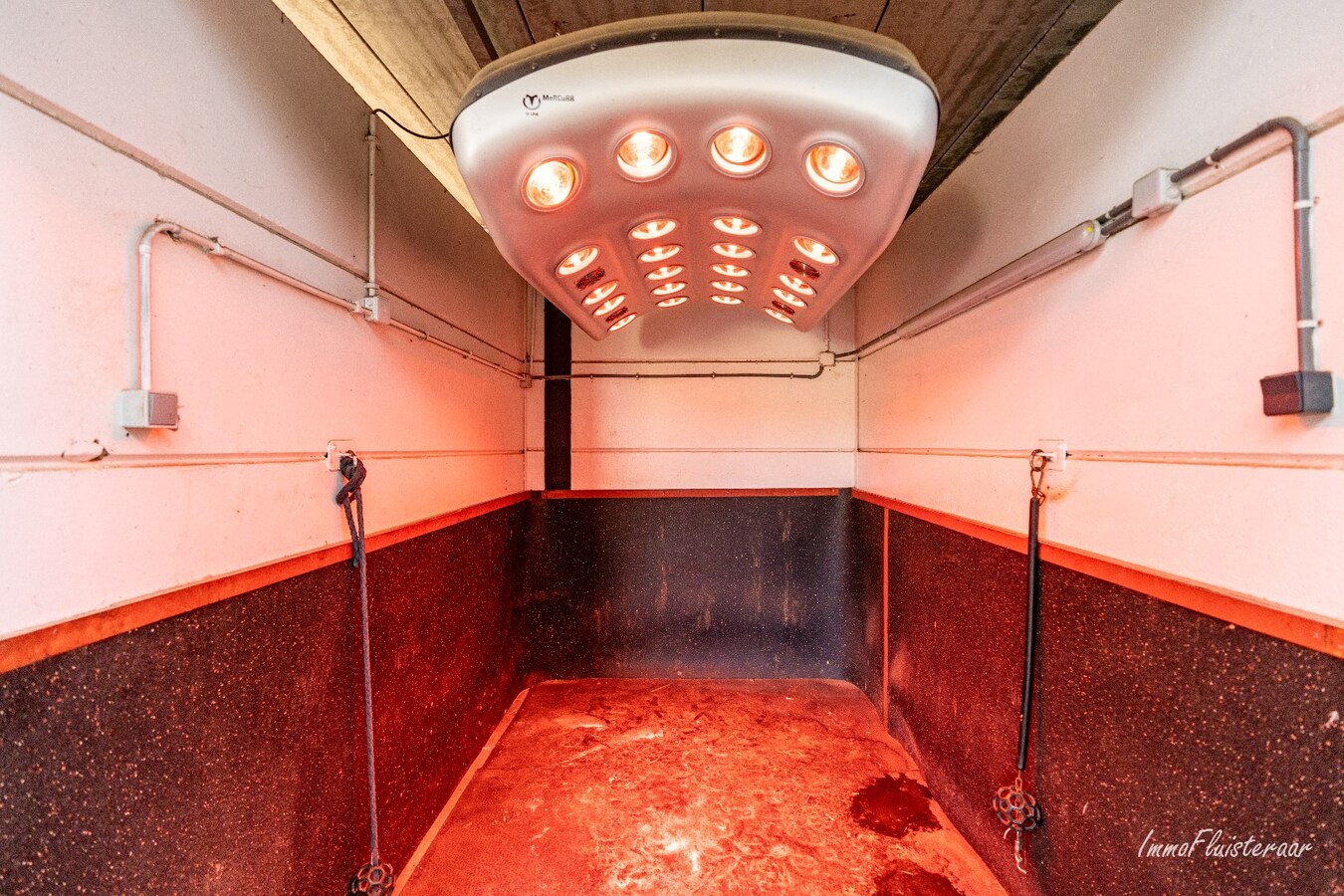 Volledig uitgeruste paardenaccommodatie op ca. 4,2 ha nabij Herentals 