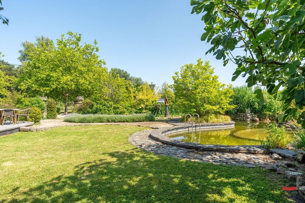 Horeca te koop | in afhandeling in Oud-Turnhout