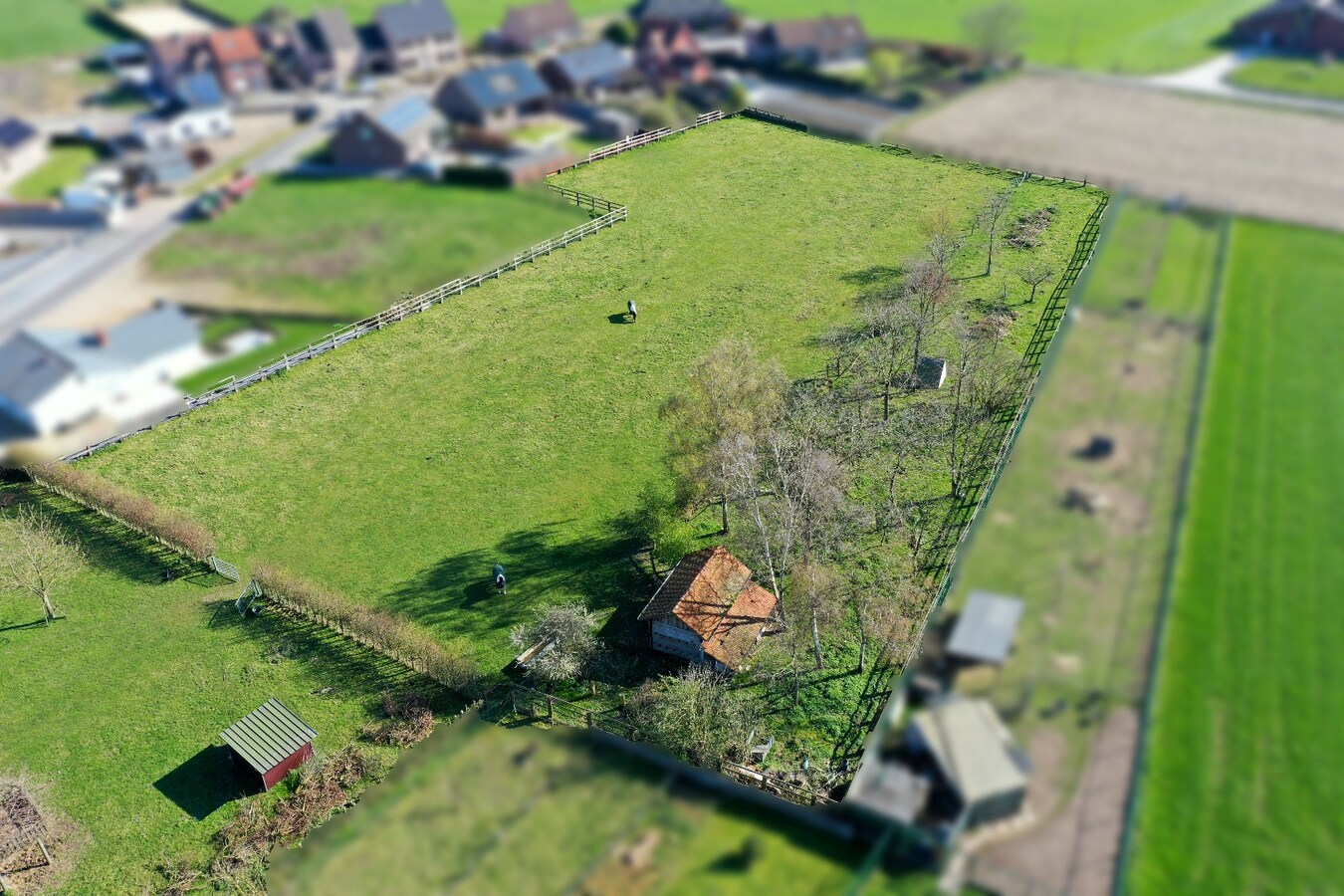 Unieke hoeve met woonst, 3 appartementen en paardenstallen op een ruim perceel van ca 1,2ha te Dilsen-Stokkem 