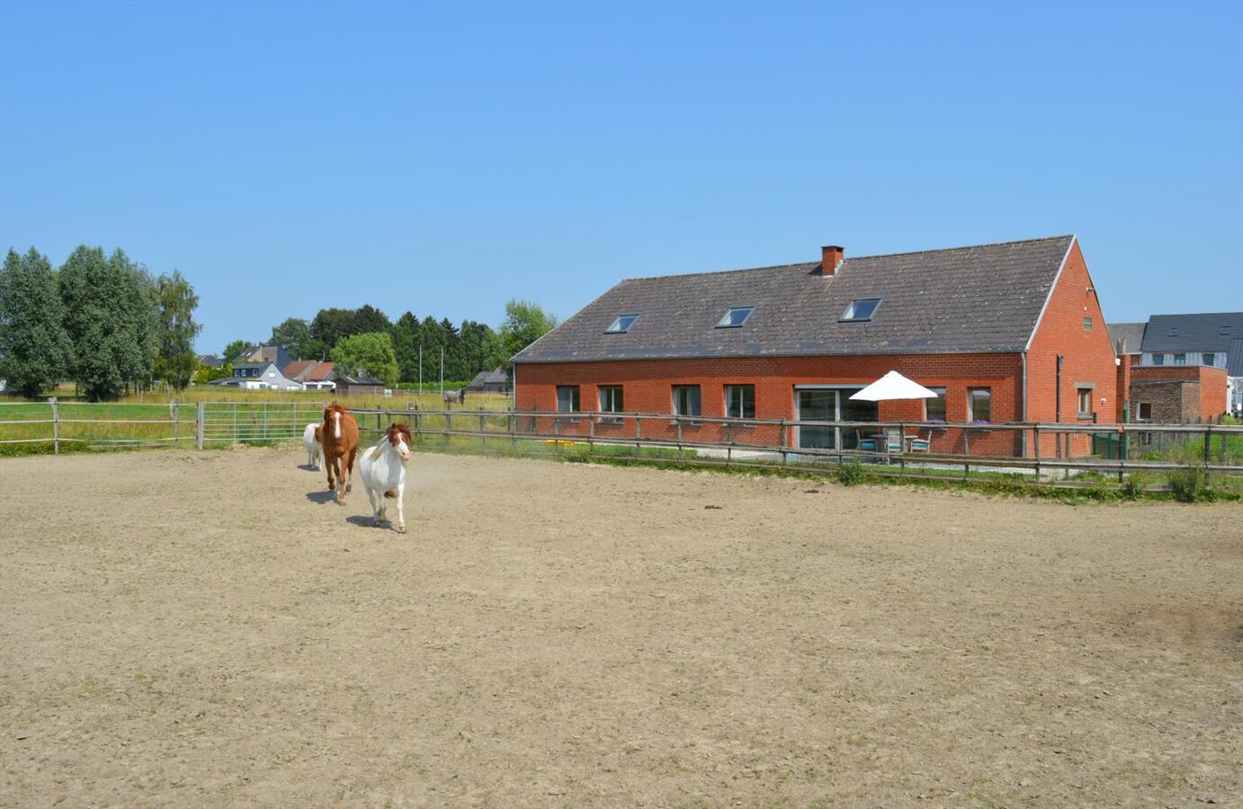Gerenoveerde woning op ca. 6500m² te Buggenhout 