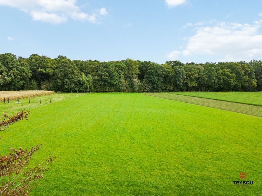 Ruime karaktervolle villa met 3 garages op 1099m² 