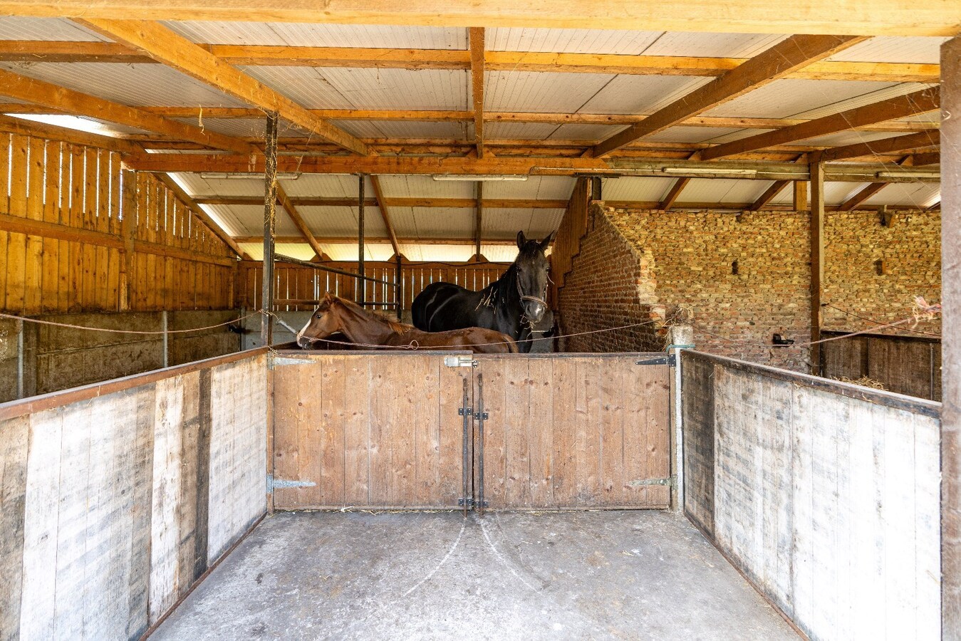 BEZOEKDAG OP ZATERDAG 7/03 Charmante hoeve met stallen op ca. 8.191 m2  te Heist-op-den-Berg (Mogelijkheid tot aankoop extra ca. 2,7 ha weiland) 